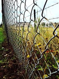 Chainlink fence