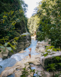 Scenic view of river amidst trees in forest