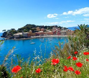 Scenic view of sea against blue sky