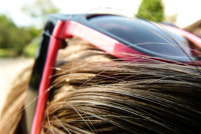 Close up of plant against blurred background