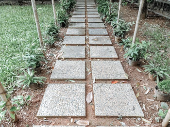 High angle view of footpath amidst plants on field