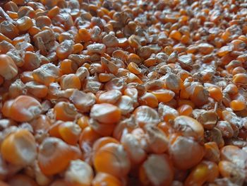 Full frame shot of blueberries