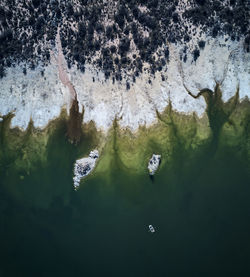 High angle view of ducks in lake