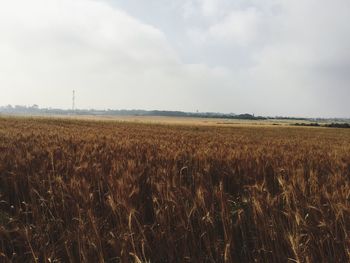 Scenic view of field against cloudy sky