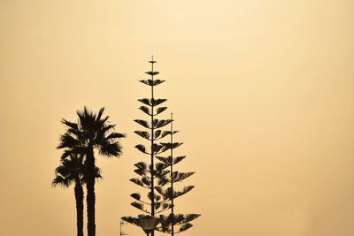 Low angle view of silhouette tree against clear sky