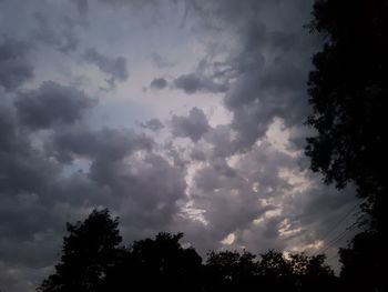 Low angle view of silhouette trees against sky