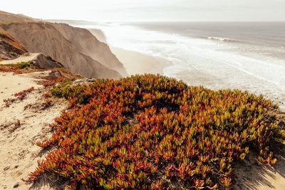 Scenic view of sea and mountains against sky