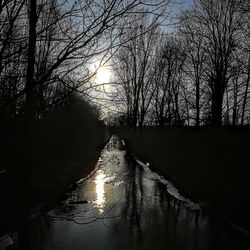 View of bare trees at sunset