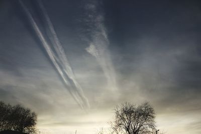 Low angle view of bare tree against sky