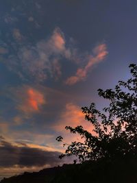 Low angle view of silhouette trees against sky at sunset