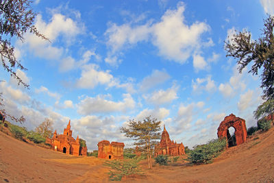 Trees against cloudy sky