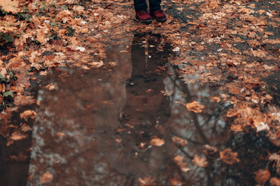 Low section of person standing on autumn leaves
