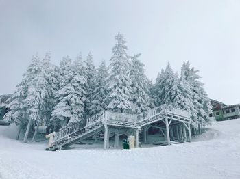 Snow covered trees against sky