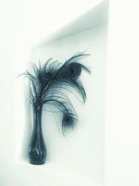 Close-up of paper over white background