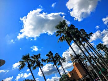 Low angle view of palm trees against blue sky