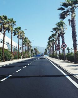 Road by palm trees against clear blue sky