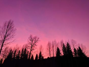 Low angle view of silhouette trees against sky during sunset