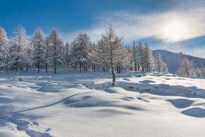 Snow covered landscape against sky