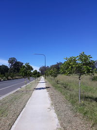 Empty road amidst trees against clear blue sky
