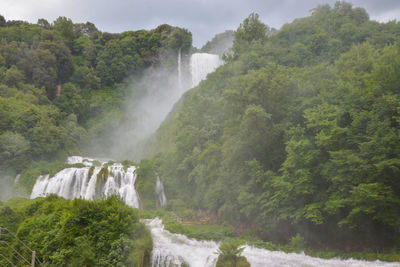 Scenic view of waterfall amidst trees