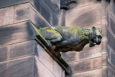 Close-up of animal statue against wall