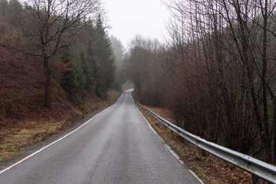 Empty road amidst trees