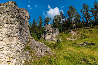 Panoramic view of rocks on land against sky