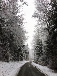 Road amidst trees against sky during winter