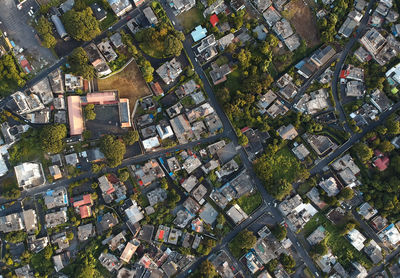 High angle view of trees and buildings in town