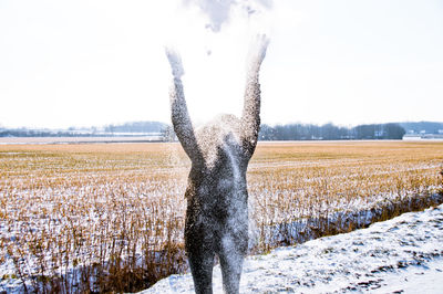 View of snowy field against clear sky during winter