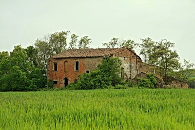House on field against sky