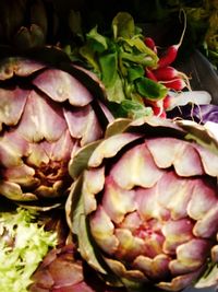 Close-up of vegetables