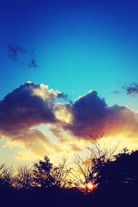 Silhouette of tree against cloudy sky