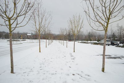 Bare trees on snow covered field against clear sky