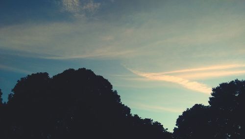 Low angle view of silhouette trees against sky at sunset