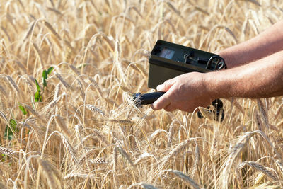 Measuring radiation level of wheat with geiger counter