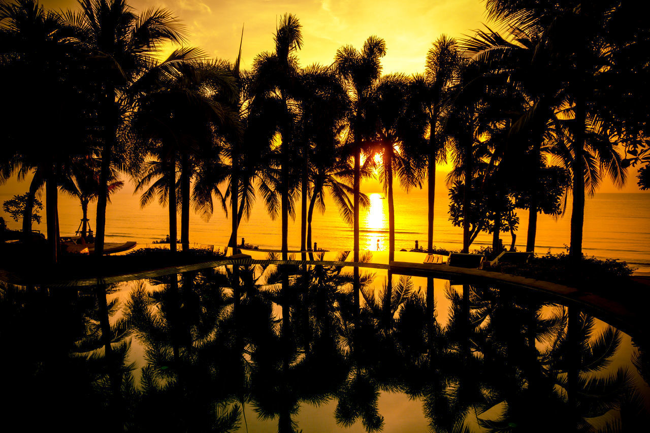 SILHOUETTE PALM TREES BY SWIMMING POOL AGAINST SKY