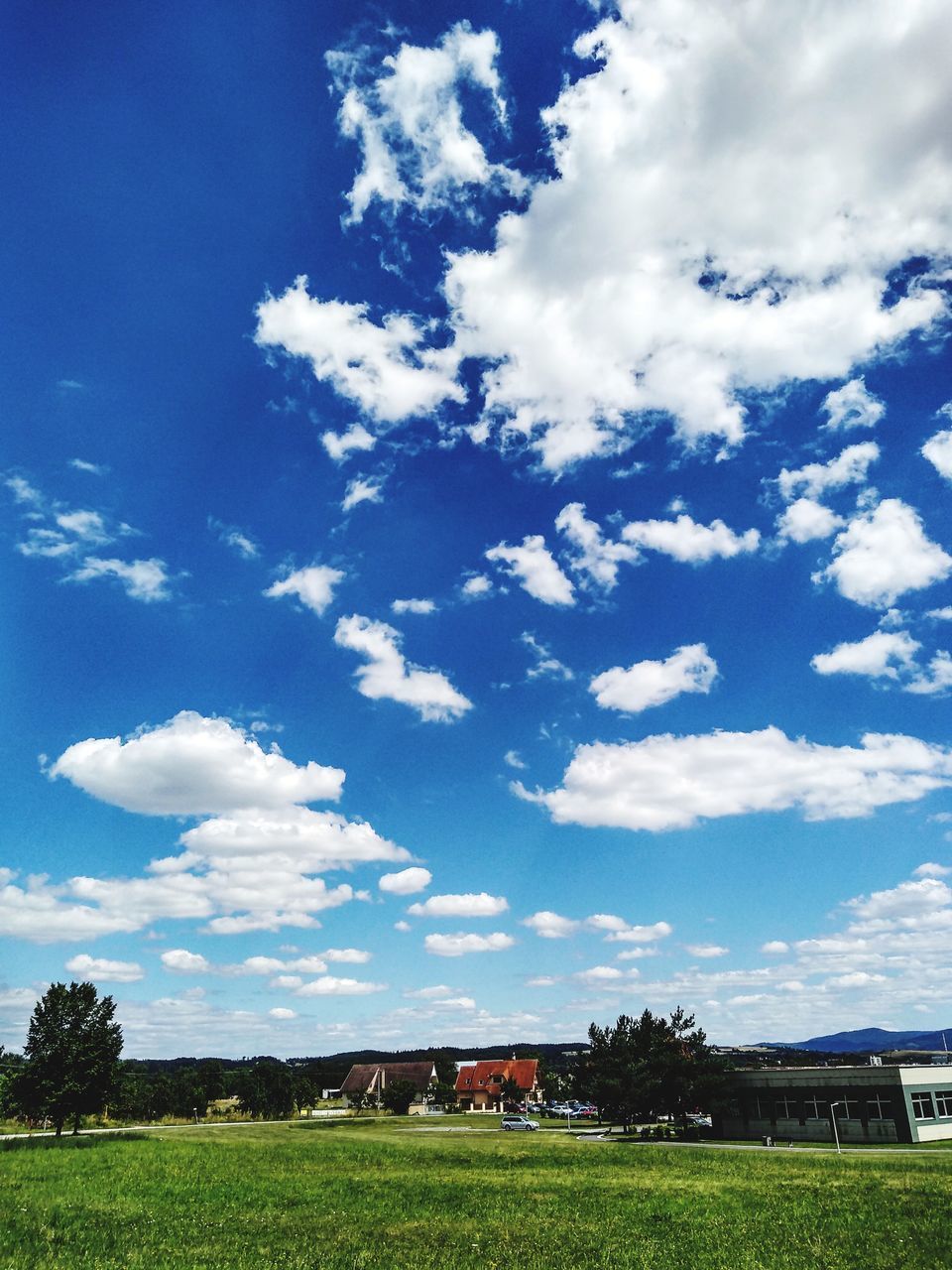 SCENIC VIEW OF FIELD AGAINST BLUE SKY