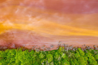 Aerial view of colorful red copper mining waste water in contrast with fresh green forest by drone