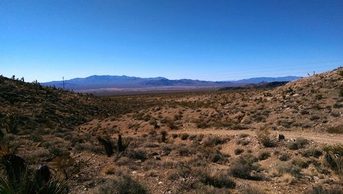 Scenic view of landscape against clear blue sky