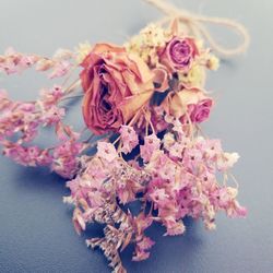 High angle view of pink roses on table