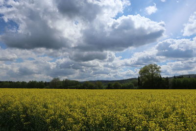 Scenic view of field against cloudy sky