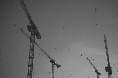 Low angle view of crane against sky