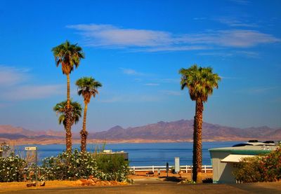 Chillin at lake mead