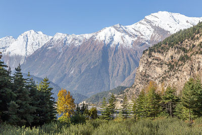 Scenic view of snowcapped mountains against clear sky