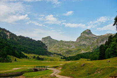 Scenic view of landscape against sky