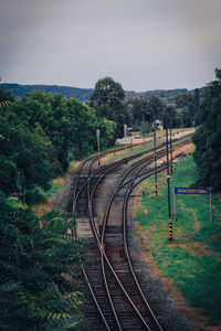 View of railroad tracks along trees