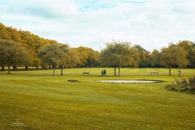 Trees on grassy field against sky during autumn