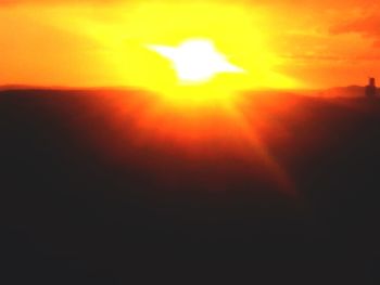 Sun shining through trees