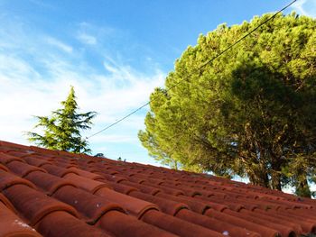 Low angle view of roof and tree against sky